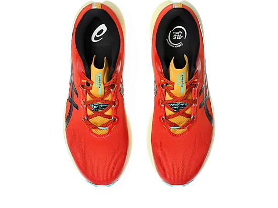 Asics Fuji Lite 6 Shoes (Men's)