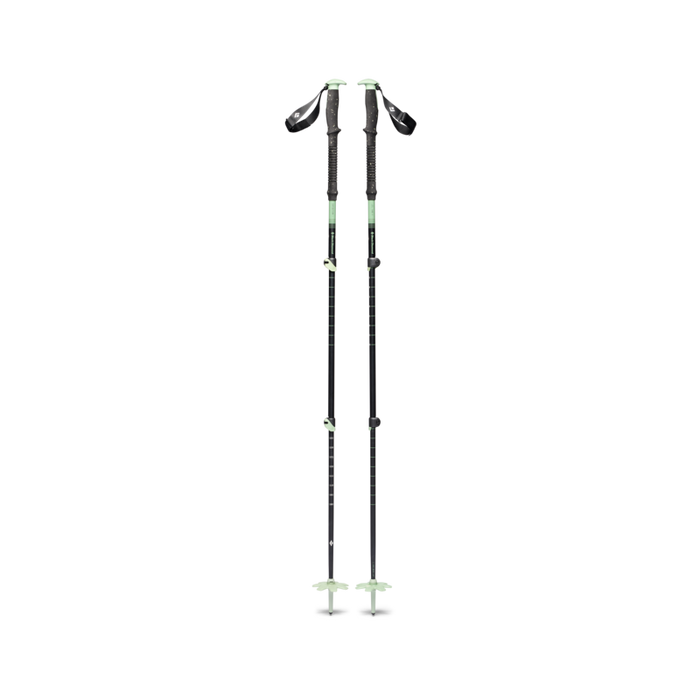 Black Diamond Expedition 3 Ski Poles