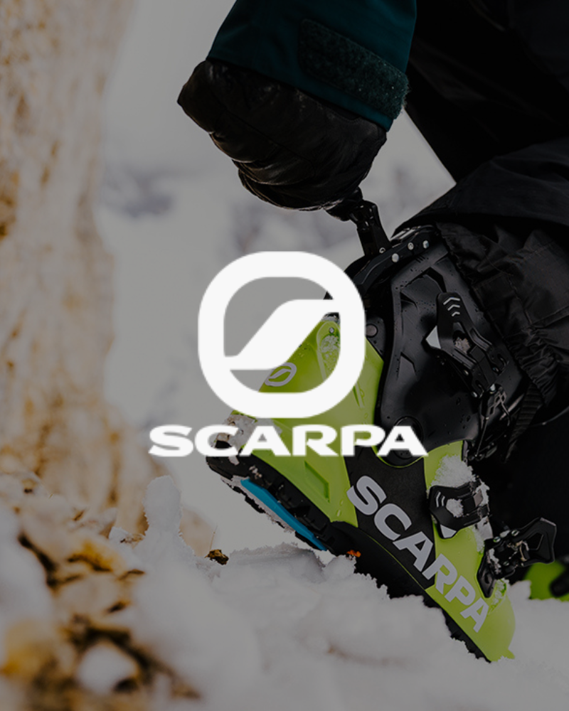 Scarpa