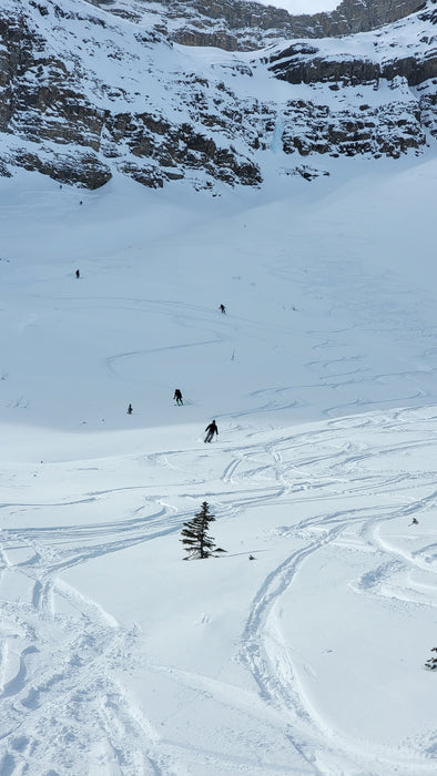 Intro to Backcountry Skiing with MTN Guiding