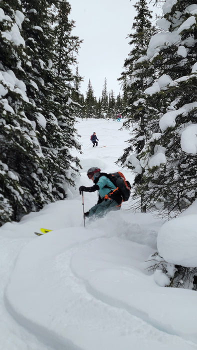 Intro to Backcountry Skiing with MTN Guiding