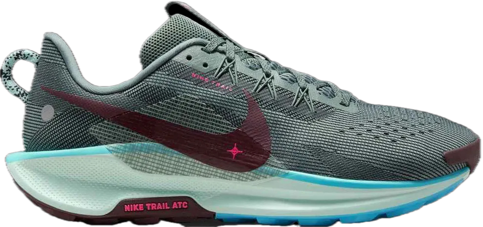 Nike Pegasus Trail 5 Shoes (Men's)