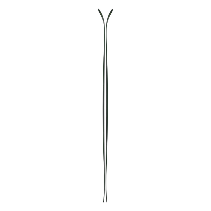 Blizzard Zero G 88 Skis