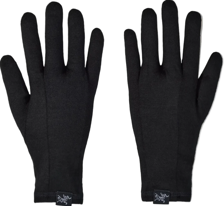 Arc'teryx Gothic Gloves