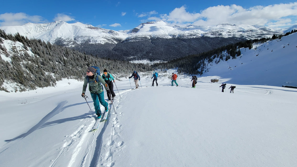 Discover Backcountry Skiing with MTN Guiding
