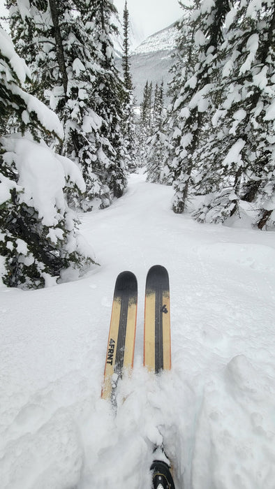 Intro to Backcountry Skiing with MTN Guiding