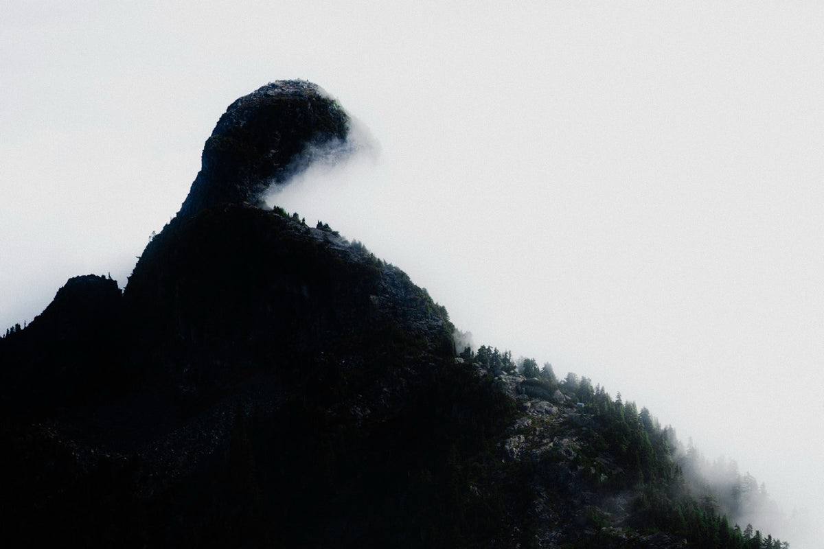Cove2Cove — photo 13