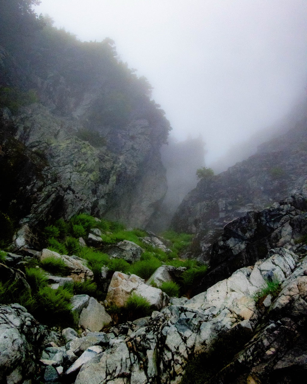Cove2Cove — photo 18