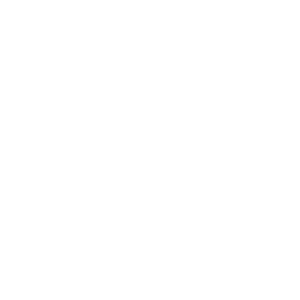 Dynafit