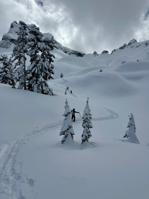 Discover Backcountry Skiing with MTN Guiding