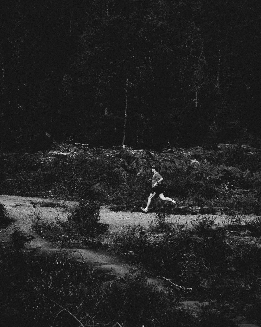 Offroad Trip — photo 28