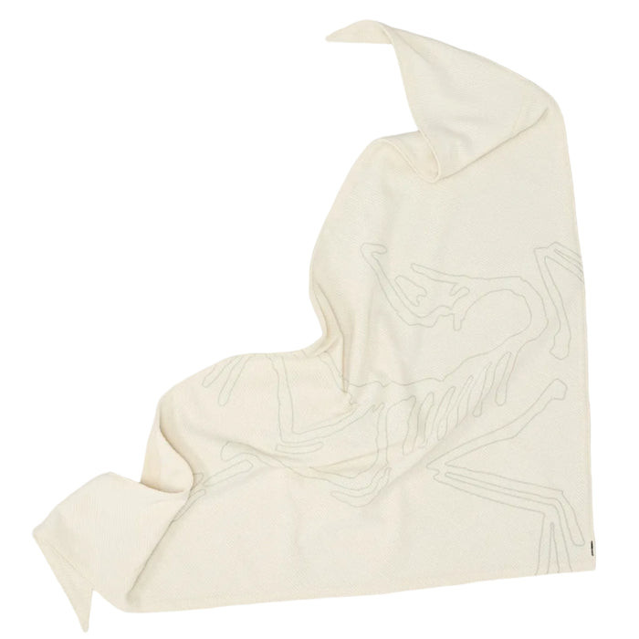 Arc'teryx Sinsolo Bandana