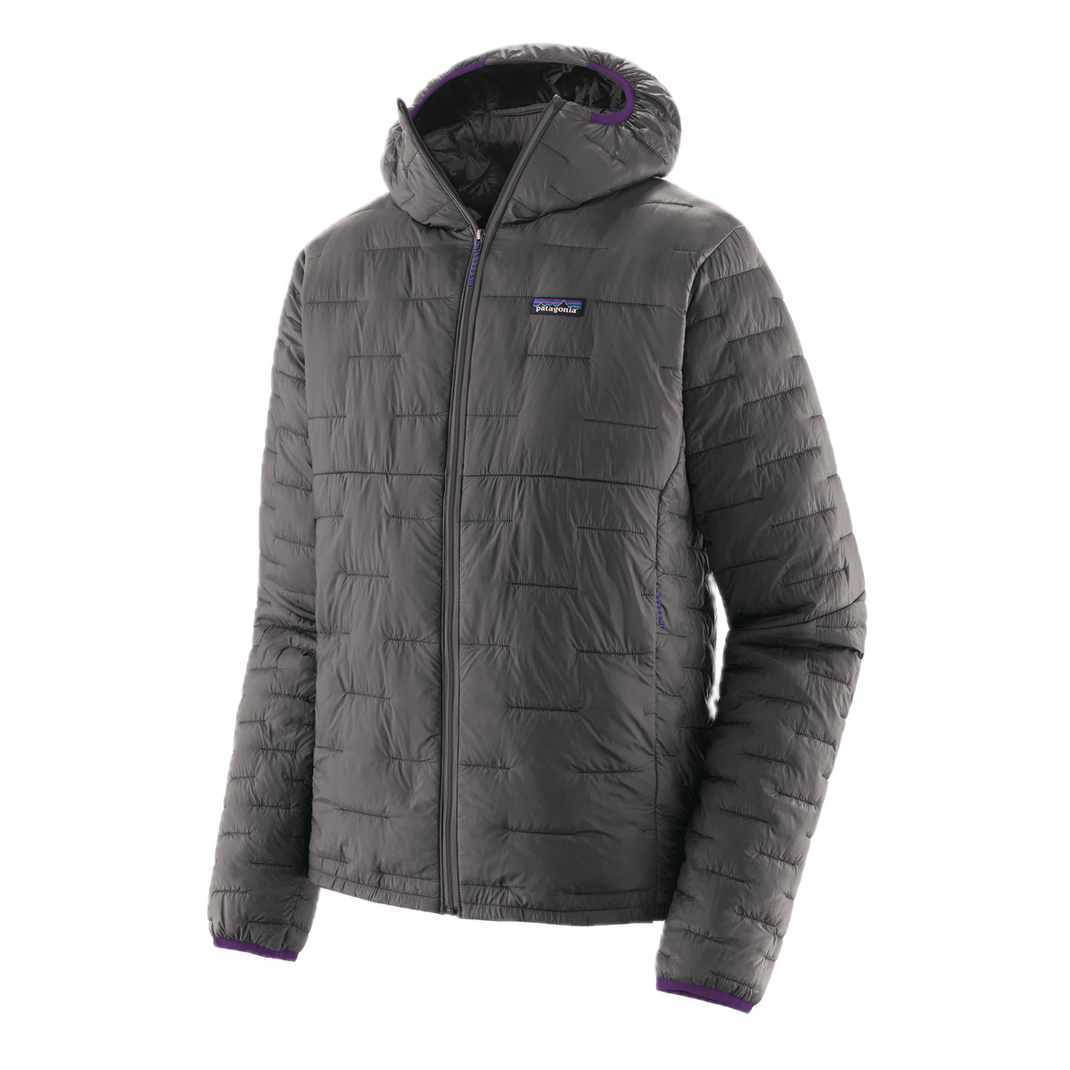 Patagonia Micro Puff Hoody (Mens)