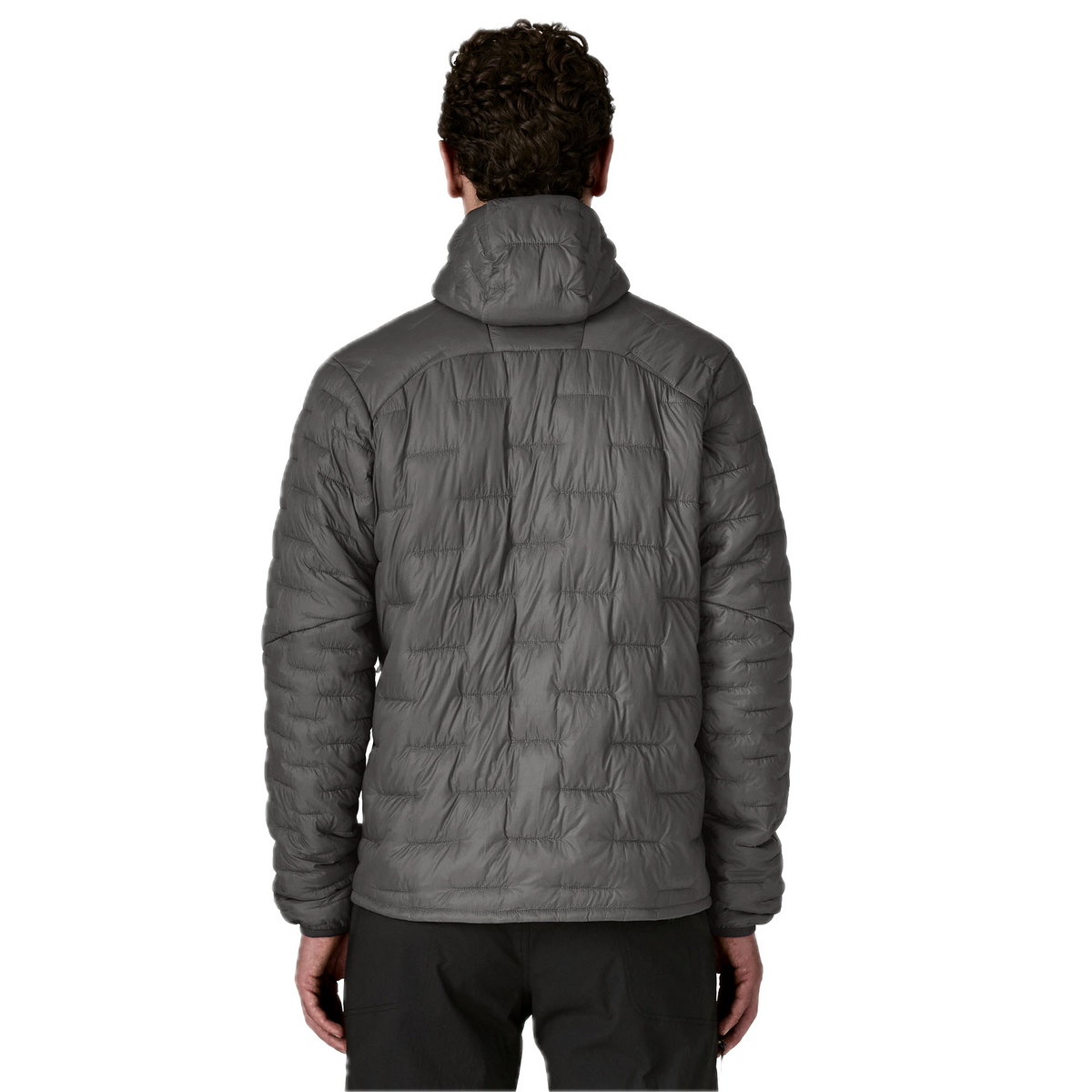 Patagonia Micro Puff Hoody (Mens)