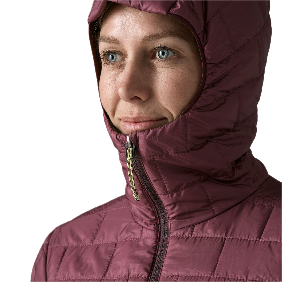 Patagonia Nano Puff Hoody (Women's)