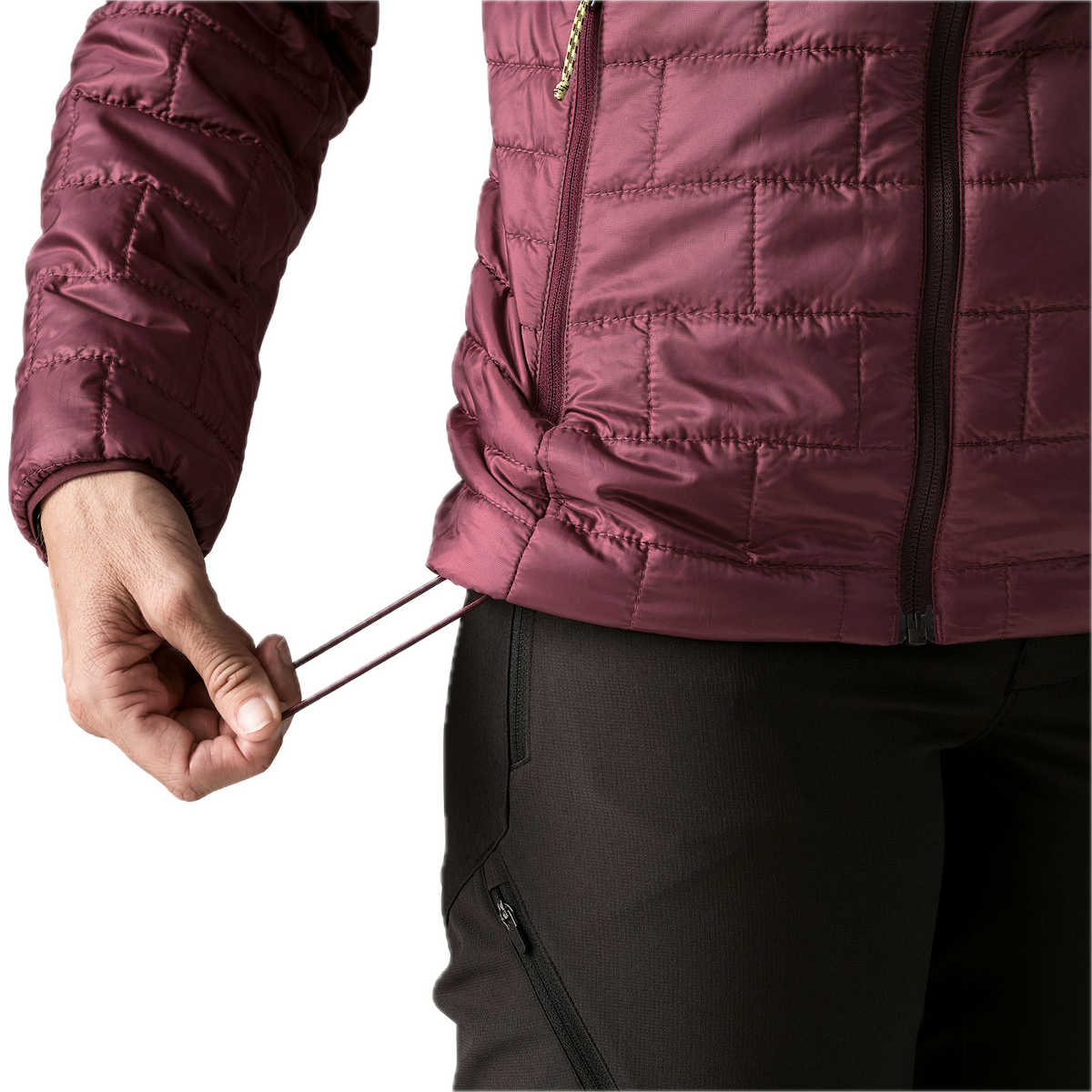 Patagonia Nano Puff Hoody (Women's)