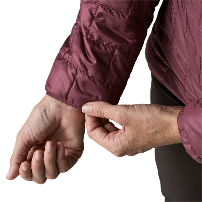 Patagonia Nano Puff Hoody (Women's)