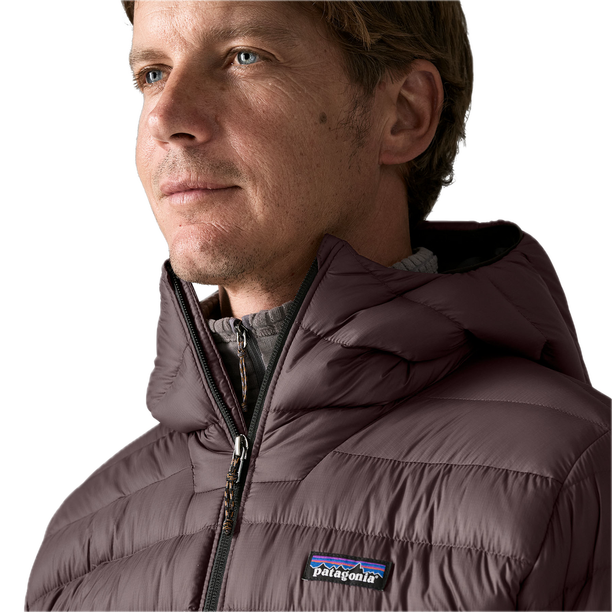 Patagonia Down Sweater Hoody (Mens)