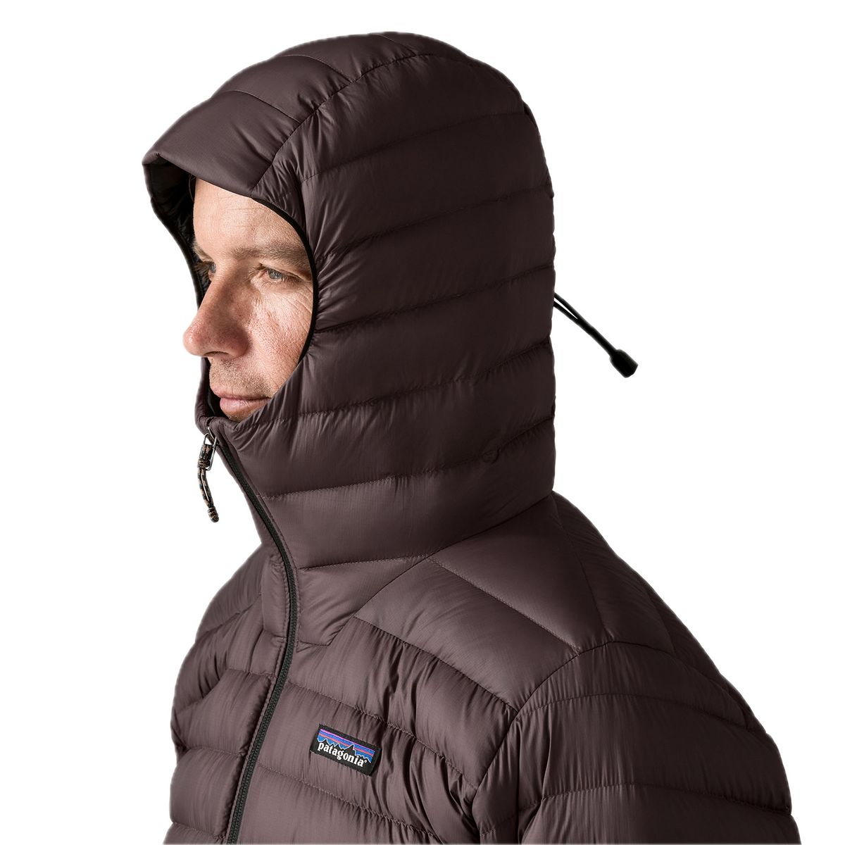 Patagonia Down Sweater Hoody (Mens)