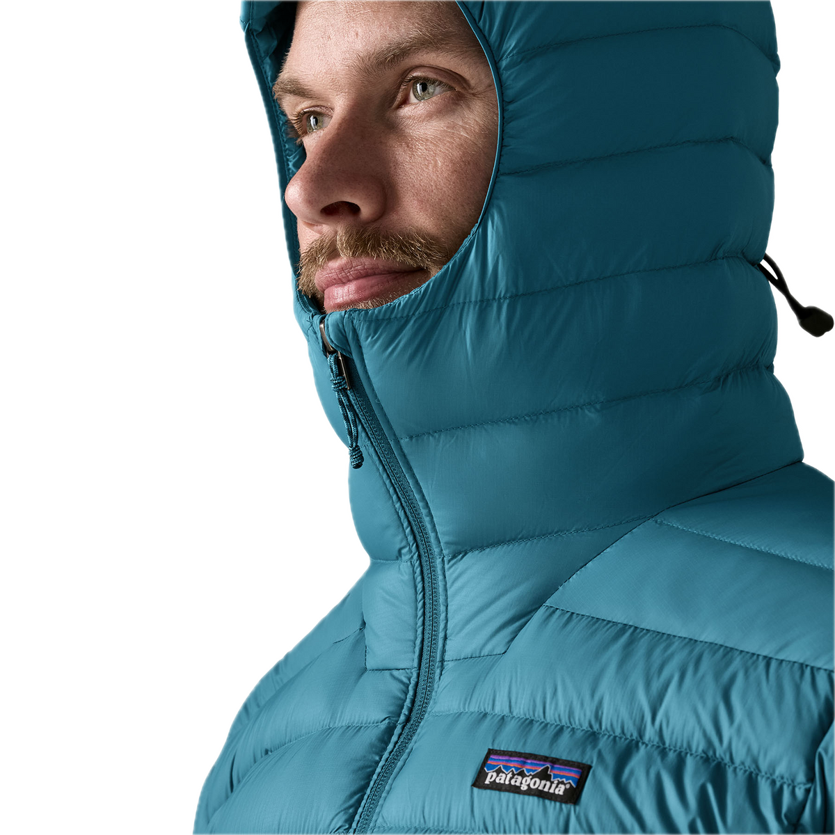 Patagonia Down Sweater Hoody (Mens)