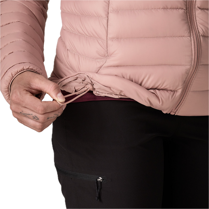 Patagonia Down Sweater Hoody (Women's)