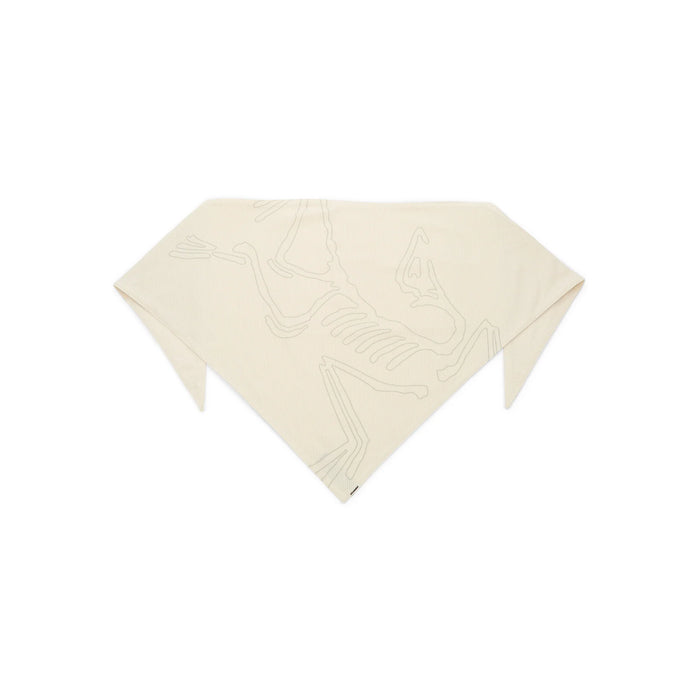 Arc'teryx Sinsolo Bandana