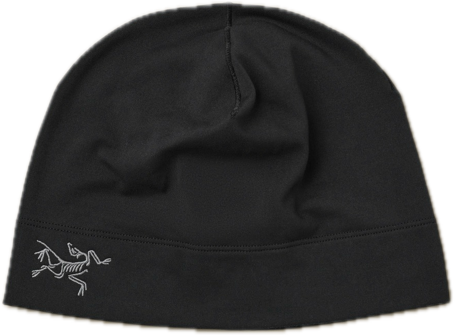 Arc'teryx Rho Toque